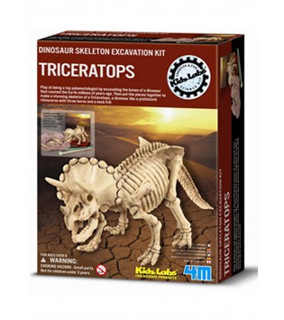 TRİCERATOPS SKELETON EXCAVATİON