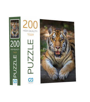 KAPLAN PUZZLE 200