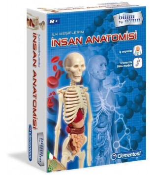 Bilim ve Oyun - İnsan Anatomisi