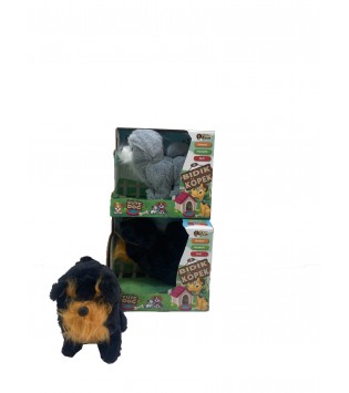 KUTULU SESLİ KÖPEK
