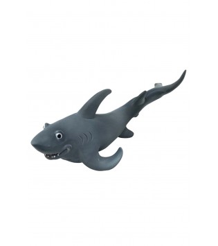 hover image