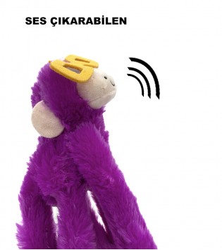 hover image