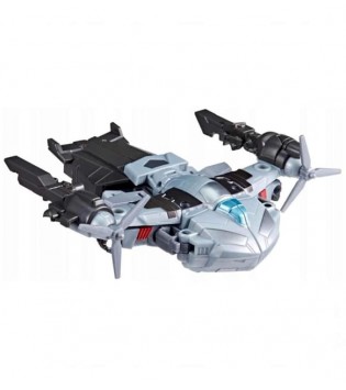 hover image