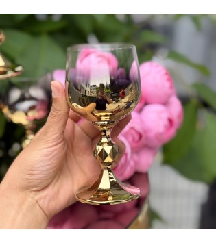 STERNA 150 CC TİTİNYUM GOLD AYAKLI KADEH