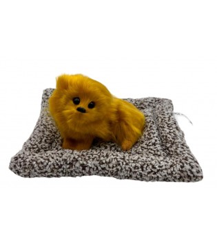 MİNDER ÜZERİNDE UYUCAN KÇK KÖPEK