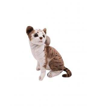 hover image