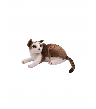 hover image