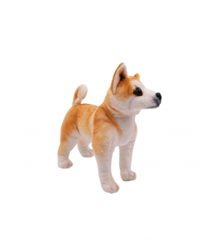 hover image