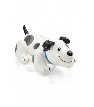 İNTEX KÖPEK BİNİCİ 108X71