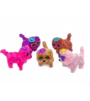 PİLLİ ŞAPKALI KÖPEK