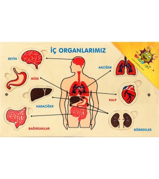 WOODOY YAPBOZ ORGANLARIMIZ
