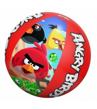 DENİZ TOPU ANGRY BIRDS