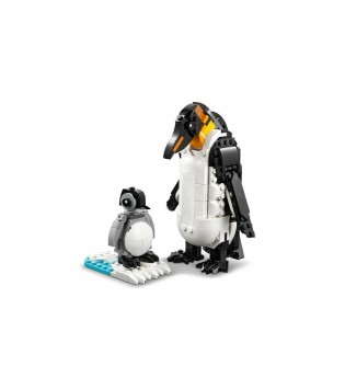 hover image