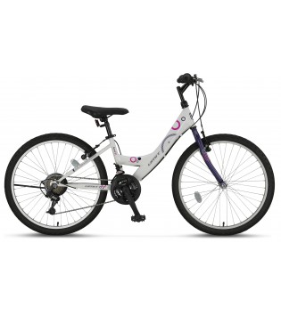 24 JANT COLORADO L-12-MTB-V-21-SRN BİSİKLET