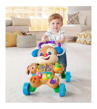 Fisher-Price LnL Yaşa Göre Gelişim™ Eğitici Köpekçik Yürüteç (Türkçe ve İngilizc