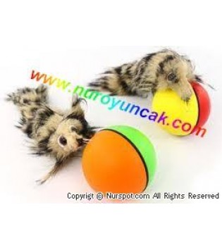 hover image