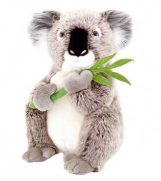 30 cm Koala