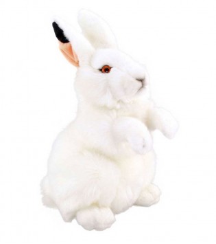 28 cm Beyaz Tavşan