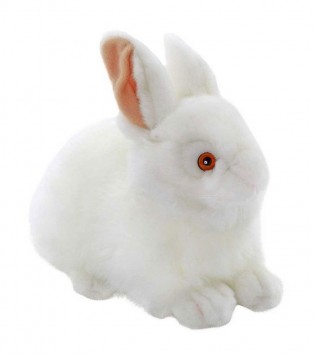 23 cm Beyaz Tavşan