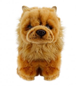 28 cm Chow Chow (Çin Aslanı)