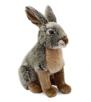 28 cm Oturan Yaban Tavşanı