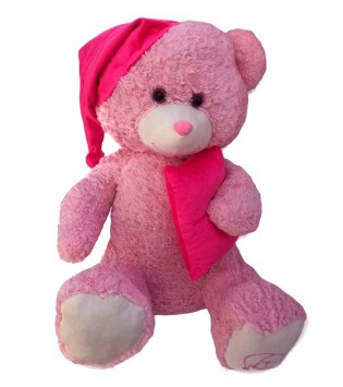 UYKU ARKADAŞIM AYICIK