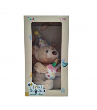 40 CM DOĞUM GÜNÜ AYISI