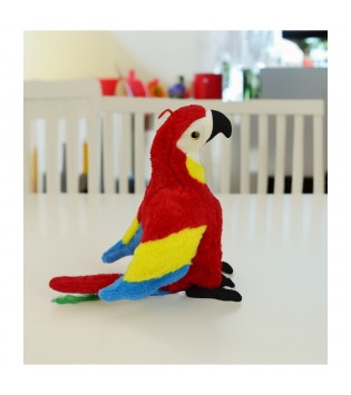 hover image