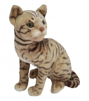 43 CM KEDİ