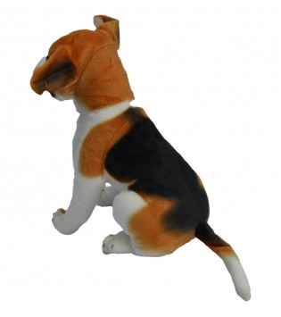 hover image