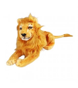 75 CM ASLAN