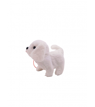 hover image