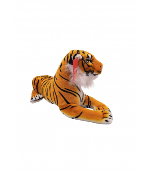 hover image
