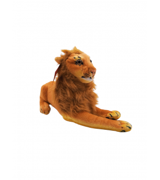 hover image