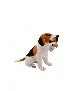 hover image