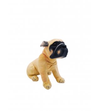 hover image
