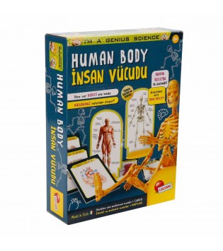 - SUN-LIS-BİLİM SET İNSAN VÜCUDU 8008324095704