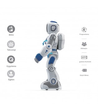 hover image