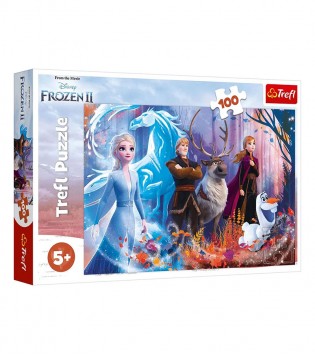 Trefl 100 Parça Puzzle Disney Frozen 2 (41x27,5cm)