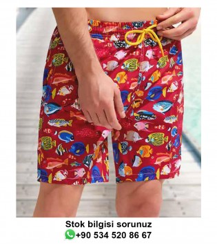 hover image